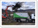 Baufeldrodung und Gehölz Entsorgung Baufeldrodung und Gehölz Entsorgung